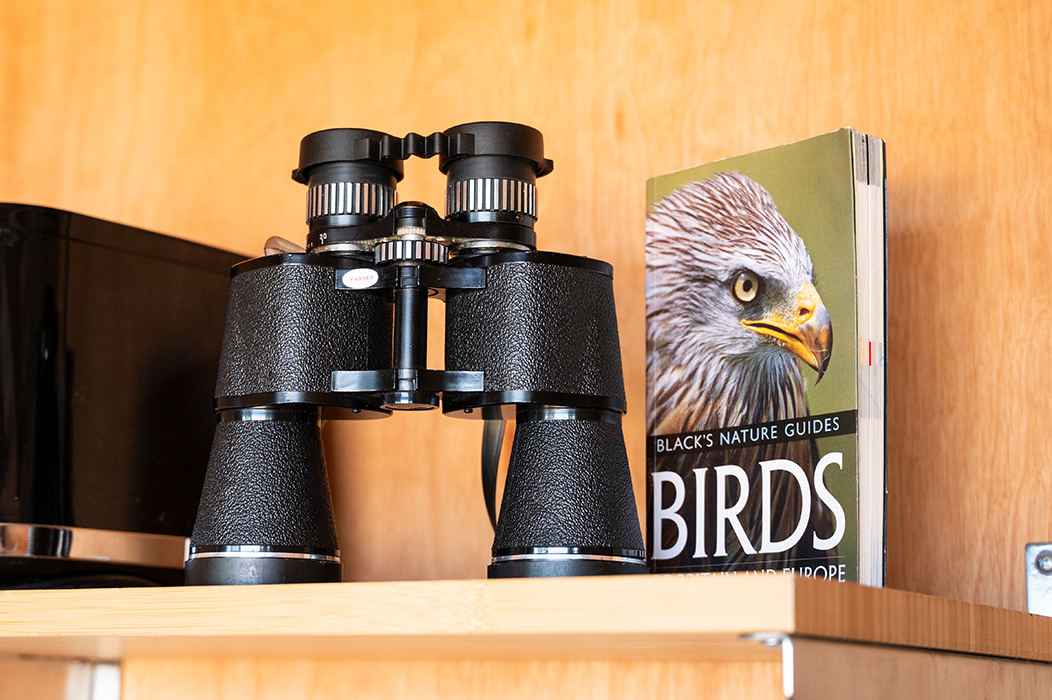 8 Meon Shore image gallery